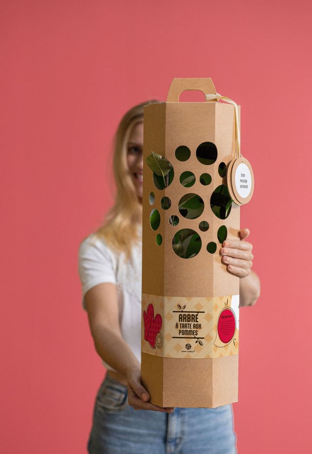 Pommier Tarte aux Pommes – Arbre à planter