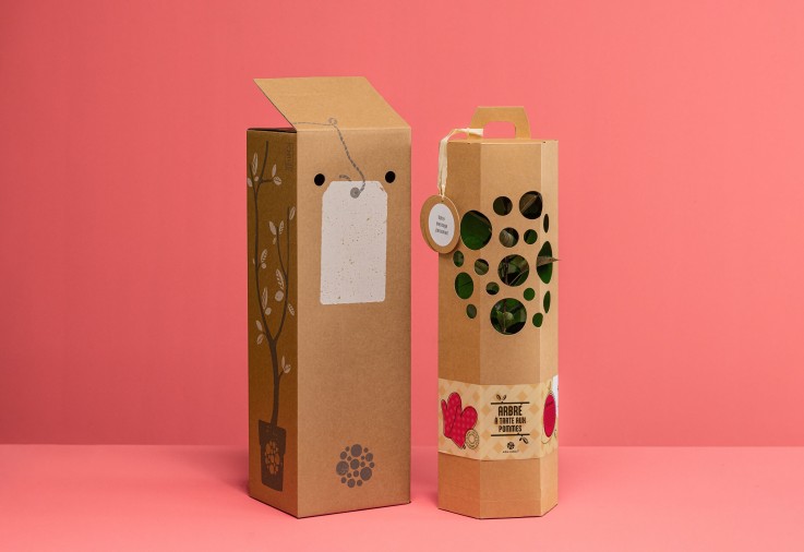 Pommier Tarte aux Pommes – Arbre à planter