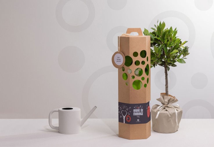 Cadeau de Mariage - Pommier à planter