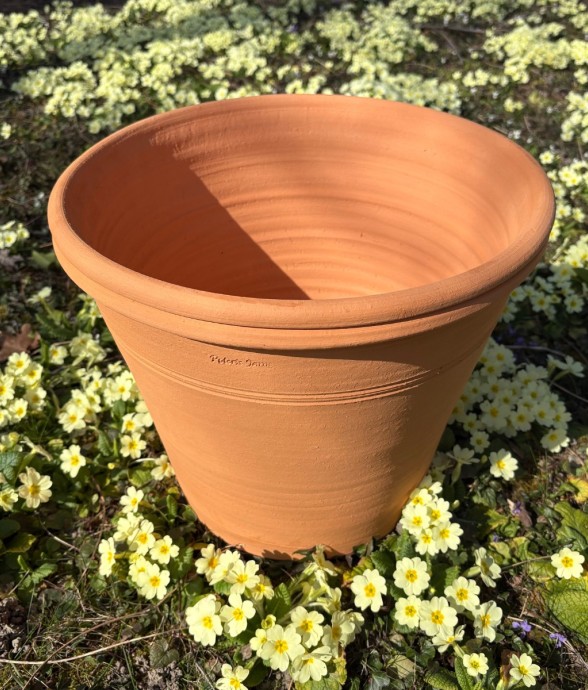 Pot d'ornementation Agrume