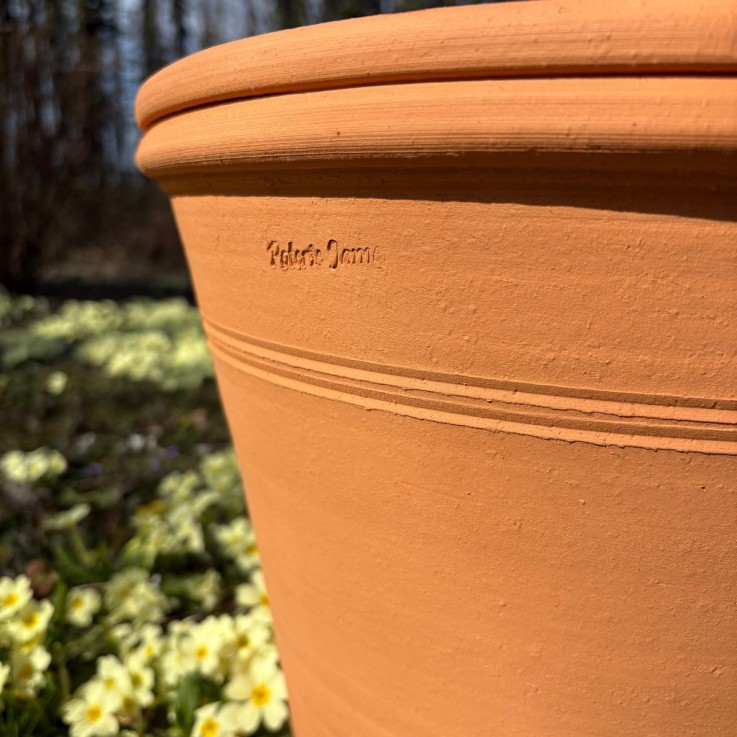 Pot d'ornementation Agrume