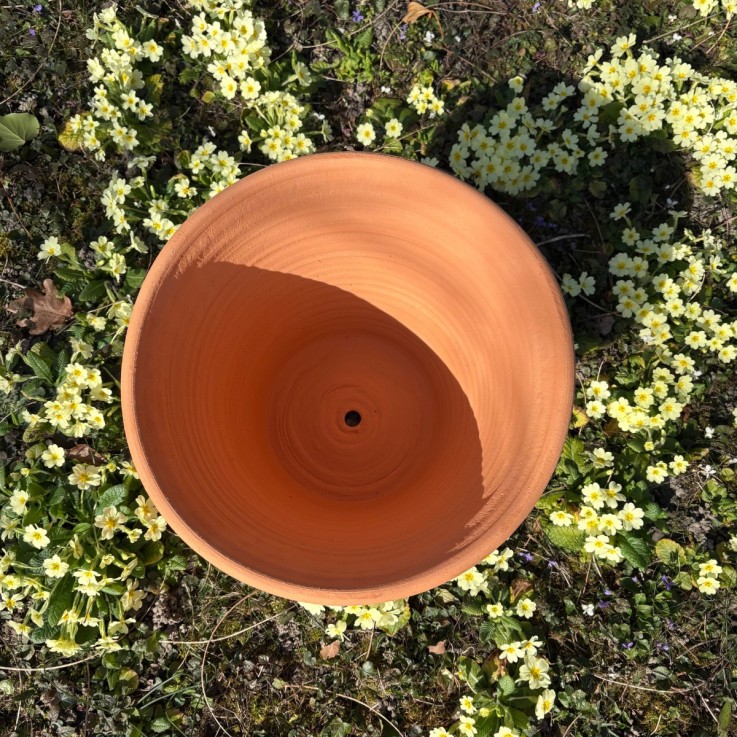 Pot d'ornementation Agrume