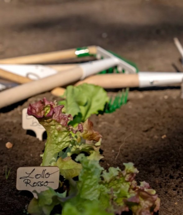 Pack outils de jardin