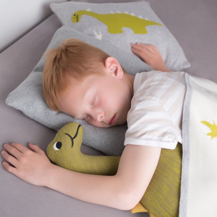 Taie de coussin en coton bio tricoté, DINO
