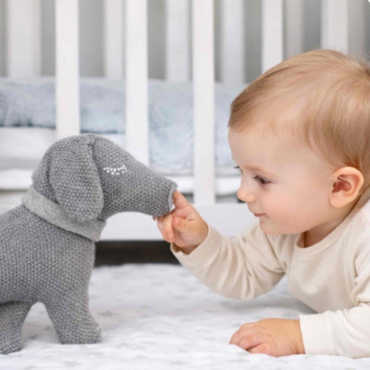 Peluche en coton bio doudou chien TECKEL