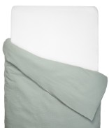 Vert De Gris