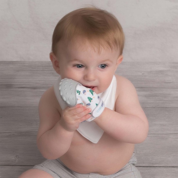 Moufle de dentition en silicone alimentaire, Hérisson