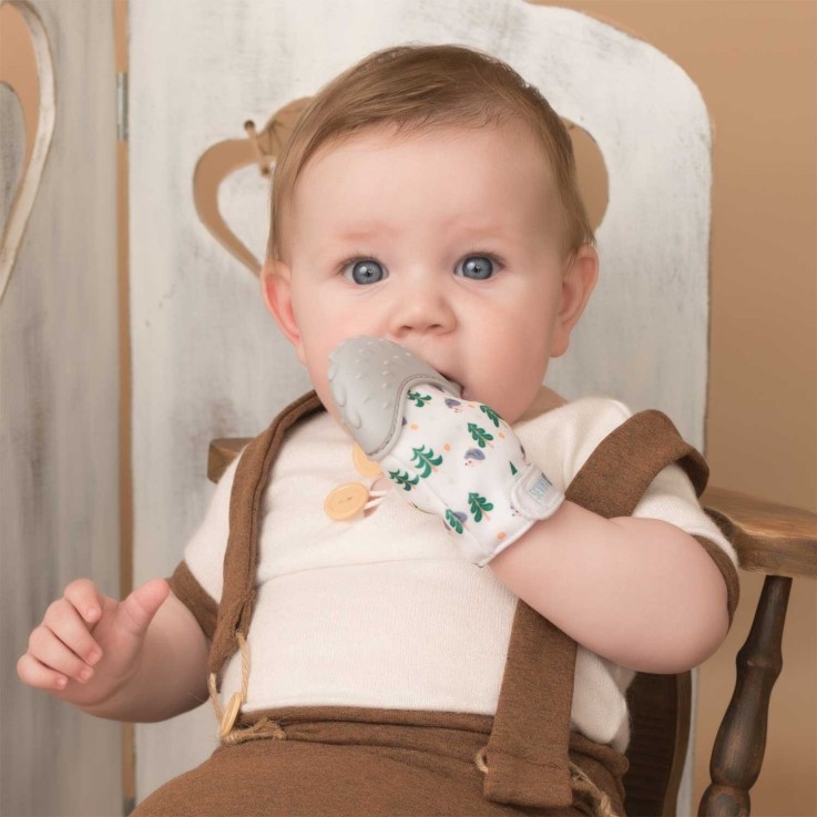 Moufle de dentition en silicone alimentaire, Hérisson