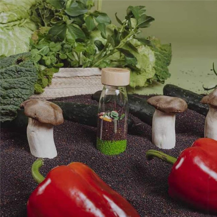 Bouteille sensorielle, Learn Légumes