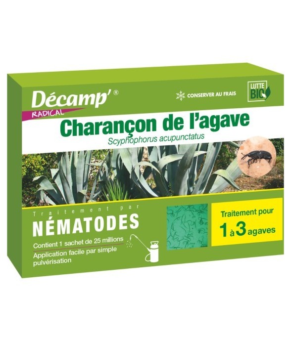Nématodes SC anti charançon...