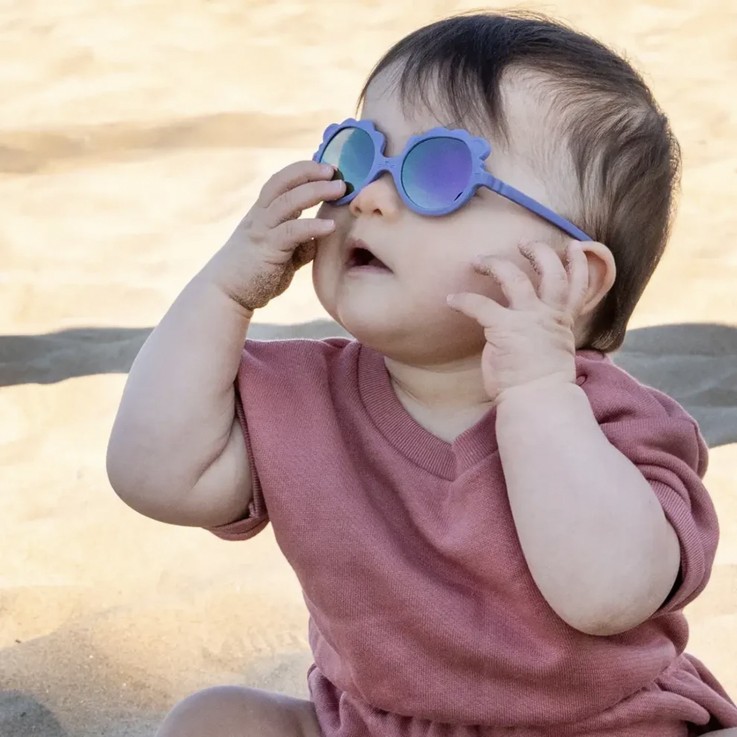 Lunettes de soleil Lion