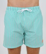 Vert Turquoise