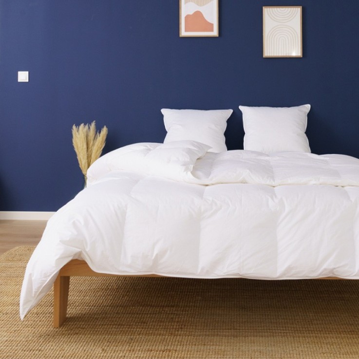 Couette Ete adulte en plume et duvet