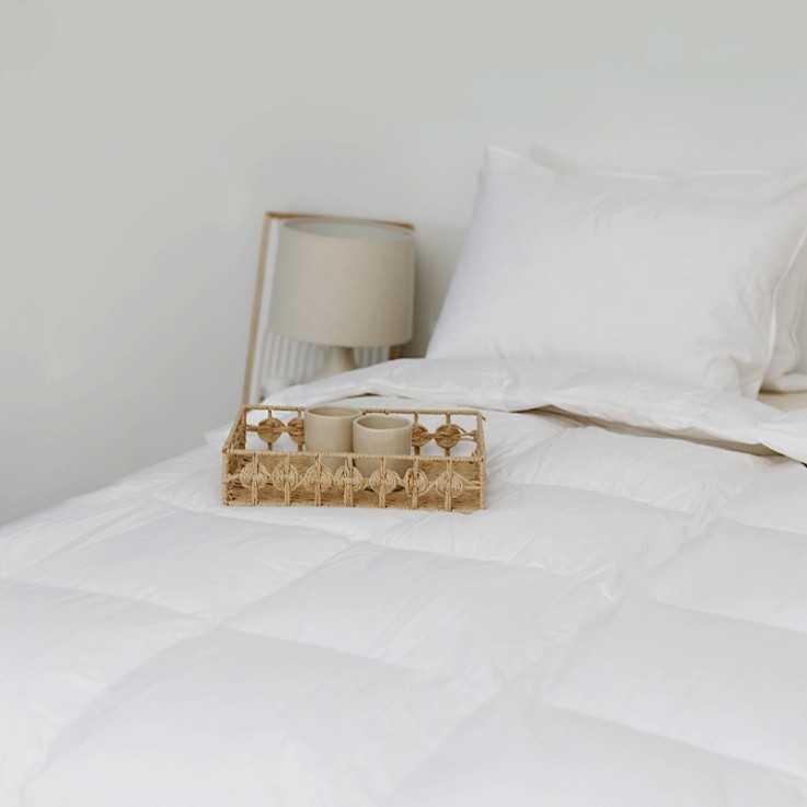 Couette Ete adulte en plume et duvet