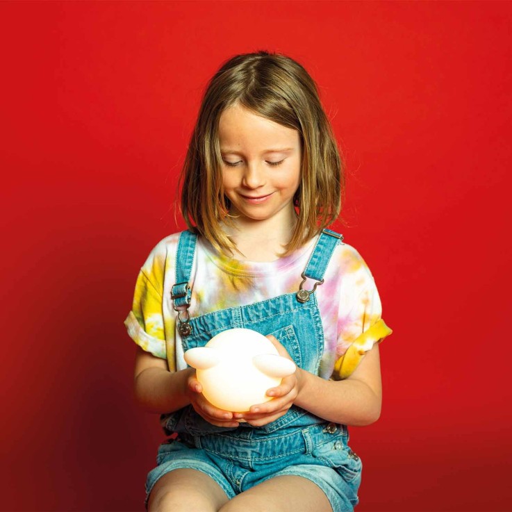 Veilleuse lumineuse tactile avec télécommande, Koala