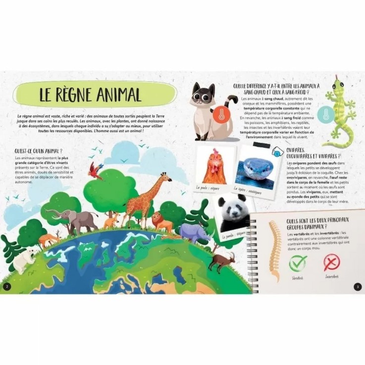 Coffret Méga ATLAS des animaux