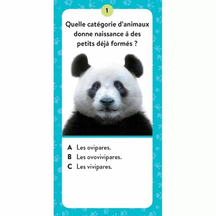 Coffret Méga ATLAS des animaux