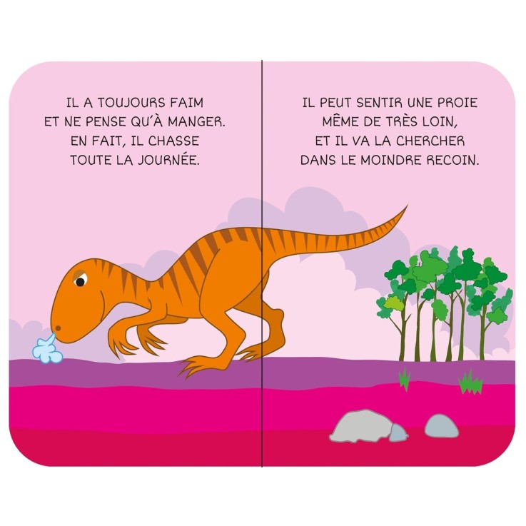 Lot de 8 Livres - Ma petite bibliothèque - Les dinosaures