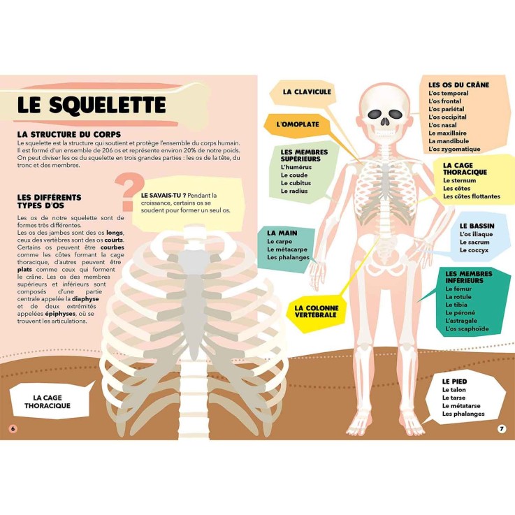 Puzzle & Livre - Voyagez, découvrez, explorez, Le corps humain