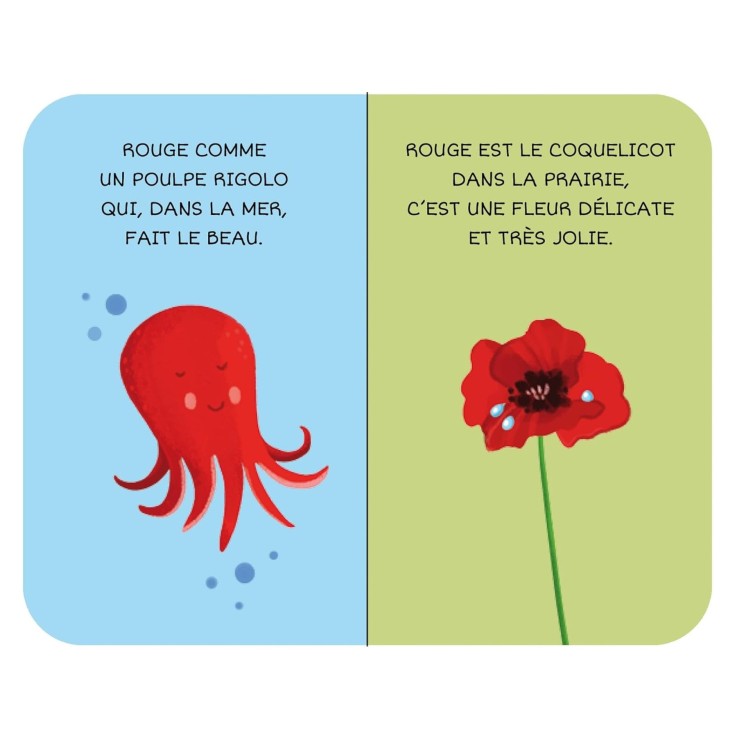 Lot de 8 livres - Ma petite bibliothèque, Les couleurs