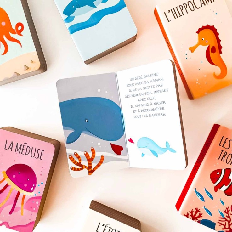 Lot de 8 livres - Ma petite bibliothèque, La mer