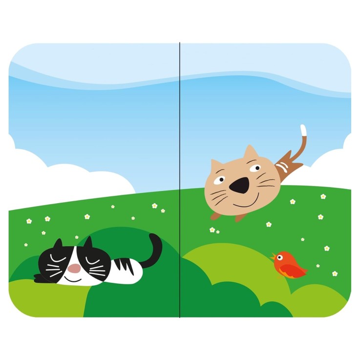 Lot de 8 Livres - Ma petite bibliothèque - Mes petits animaux