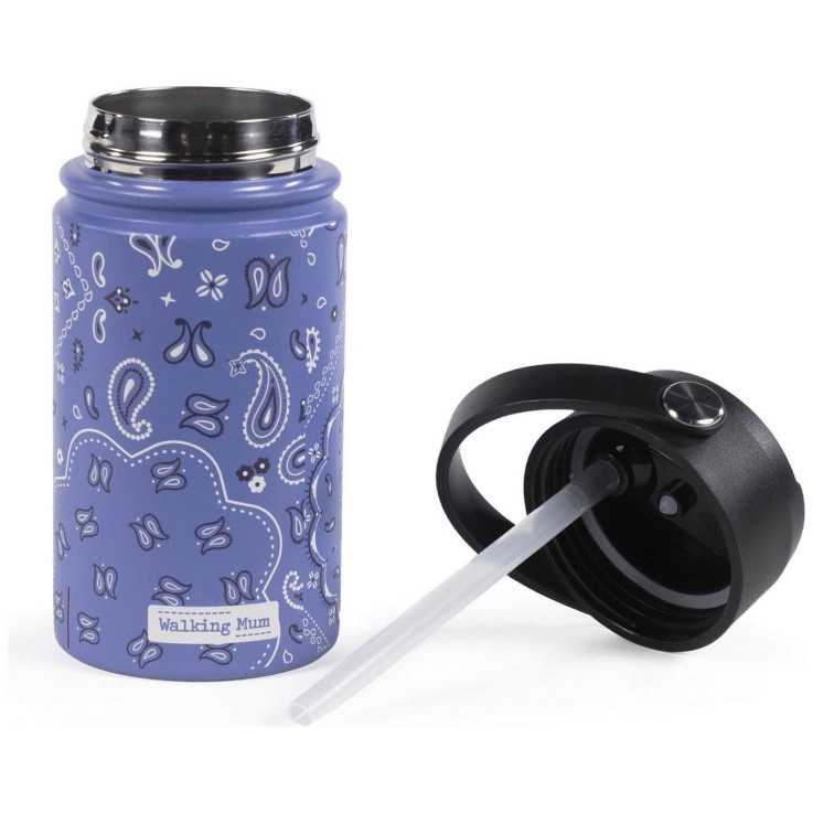 Gourde isotherme en inox avec paille anti-fuite Summer