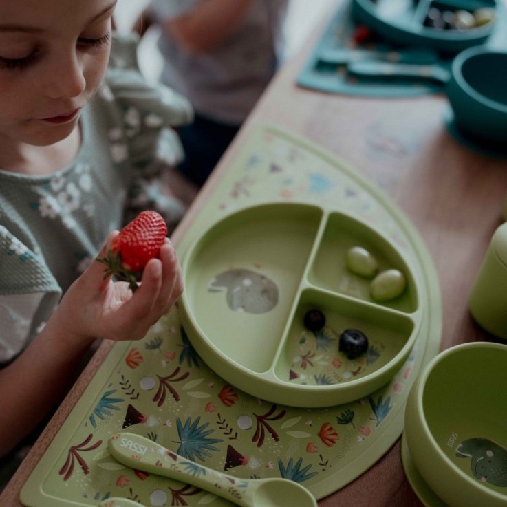 Assiette compartimentée en silicone avec ventouse, Animaux