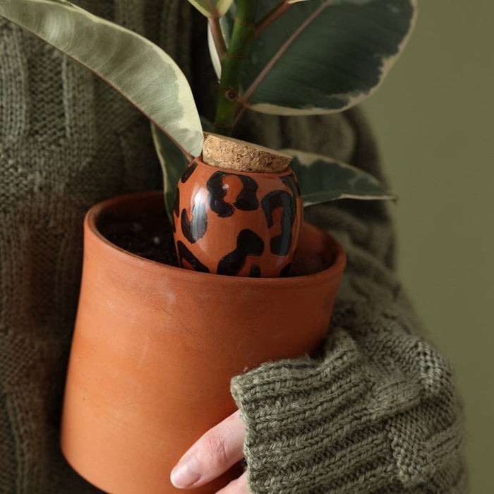 Olla Diffuseur d'eau naturel pour plantes