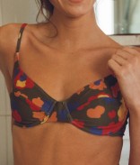Fleurs Multicolores