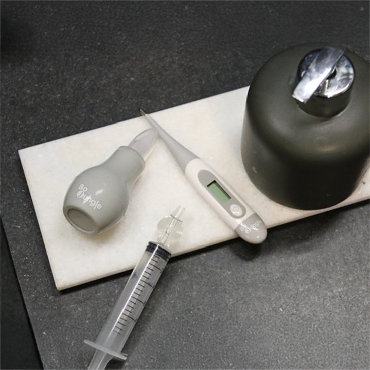 Mouche bébé avec poire
