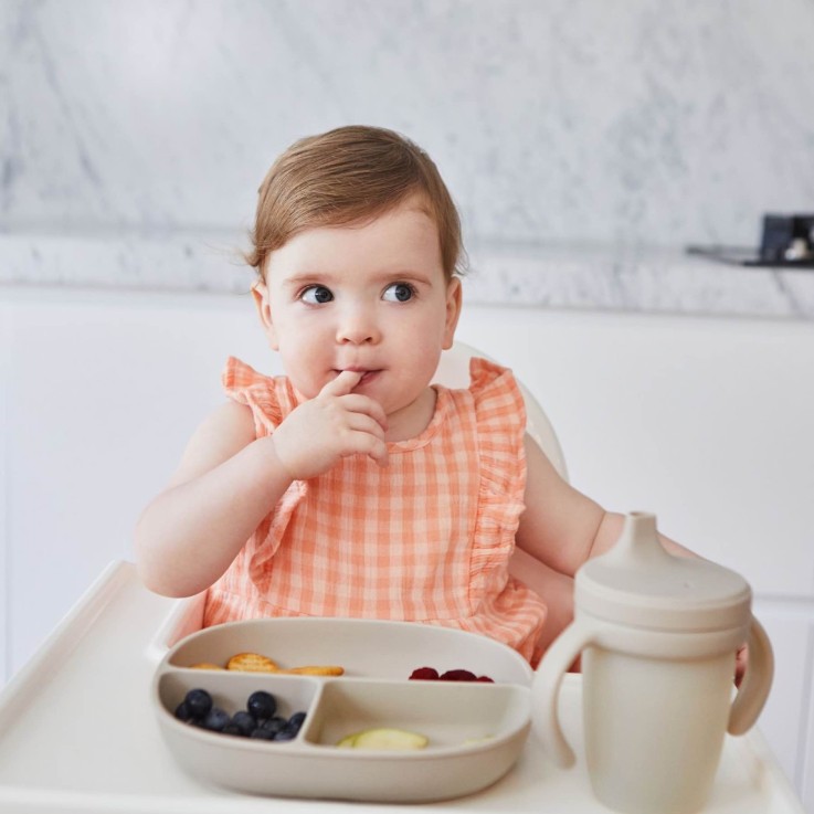 Assiette bébé silicone ventouse avec couvercle