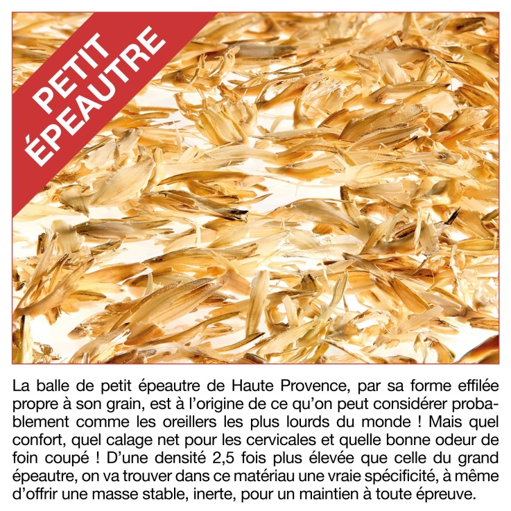 Oreiller au Petit épeautre bio de Provence 60 x 60 cm