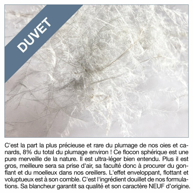 Oreiller en Duvet d'oie souple - 40 x 60 cm