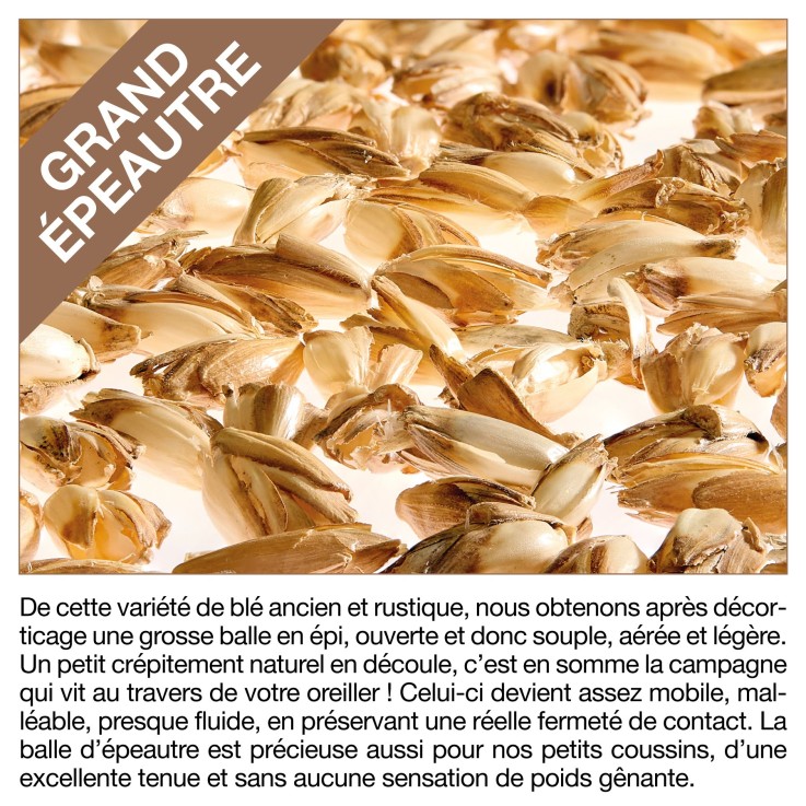 Oreiller Grand Epeautre bio 40 x 60 cm