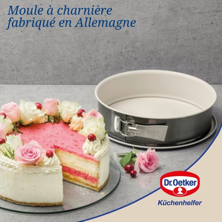Lot de 2 moules à gâteaux 28/28 cm en acier Dr oetker Back-trend