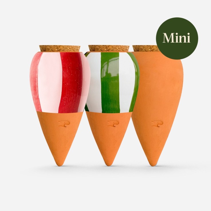 Trio Ollas Naturelles Mini Diffuseurs d'eau pour plantes - Les rayées