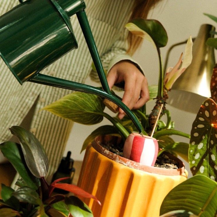 Trio Ollas Naturelles Mini Diffuseurs d'eau pour plantes - Les rayées