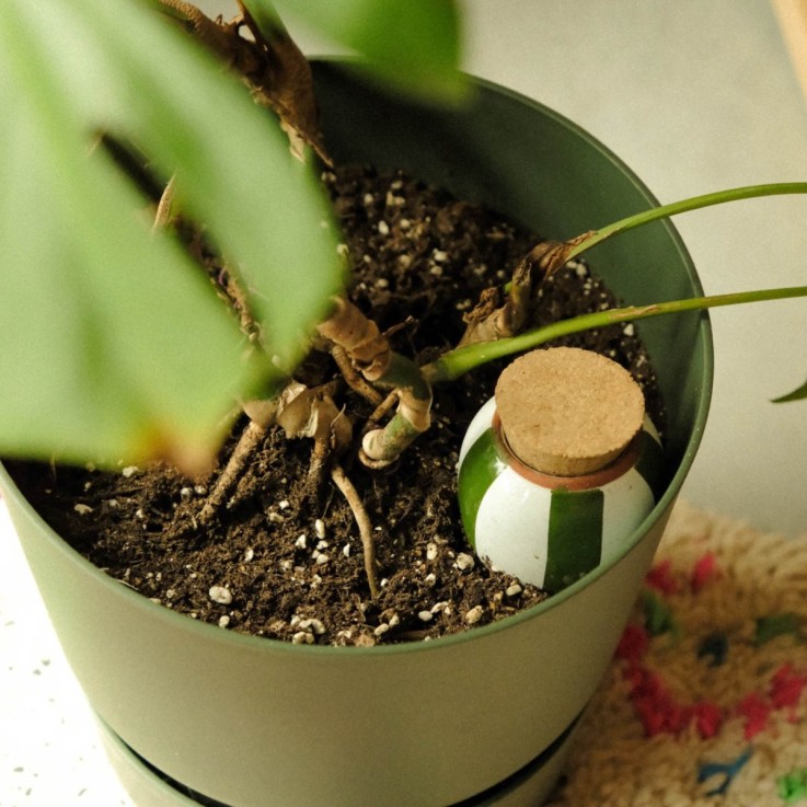 Trio Ollas Naturelles Mini Diffuseurs d'eau pour plantes - Les rayées