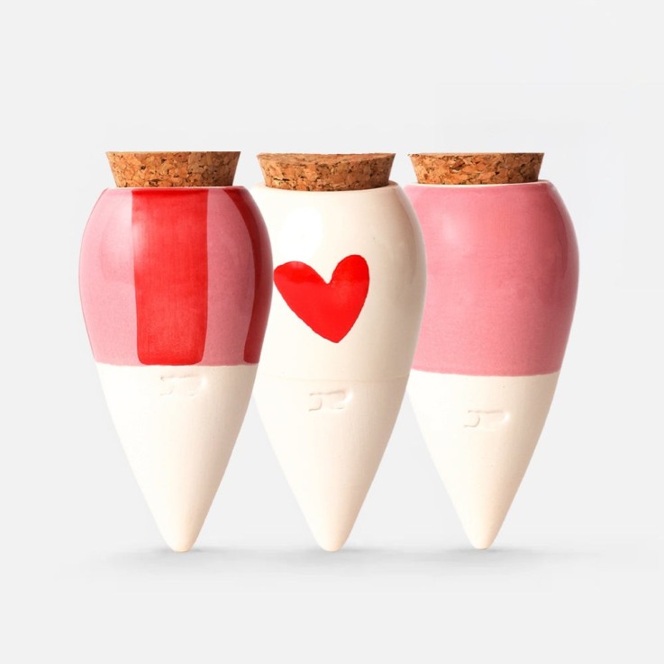 Trio Ollas Naturelles Mini Diffuseurs d'eau pour plantes - Les lovers