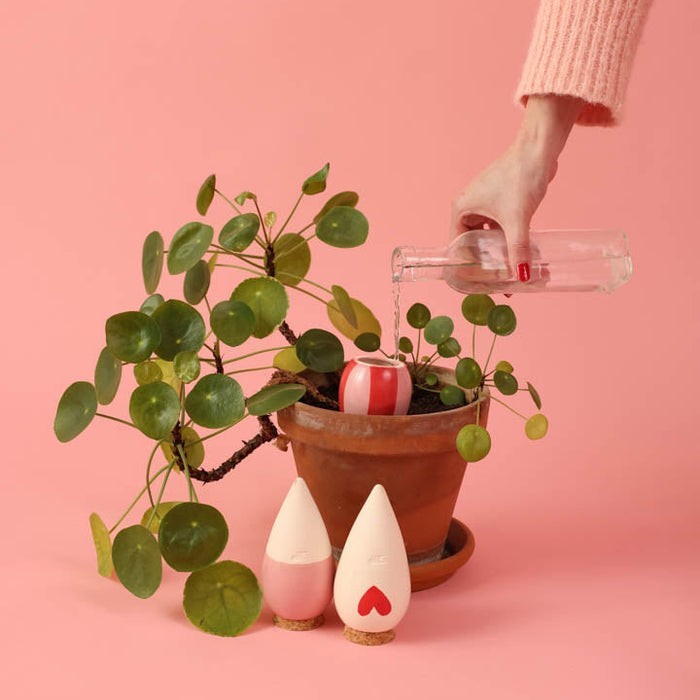 Trio Ollas Naturelles Mini Diffuseurs d'eau pour plantes - Les lovers
