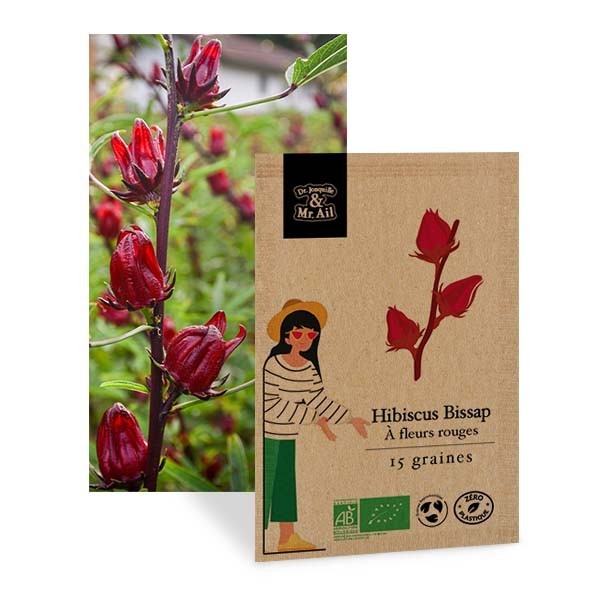 Mélange de graines bio - Les fleurs comestibles