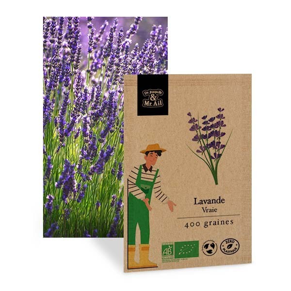 Mélange de graines bio - Les fleurs de balcon