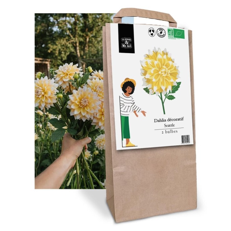 Mélange de tubercules de Dahlias (8 bulbes)