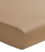 Beige Dune
