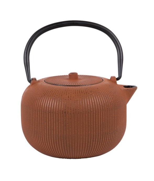 Théière en fonte Gyokuro...