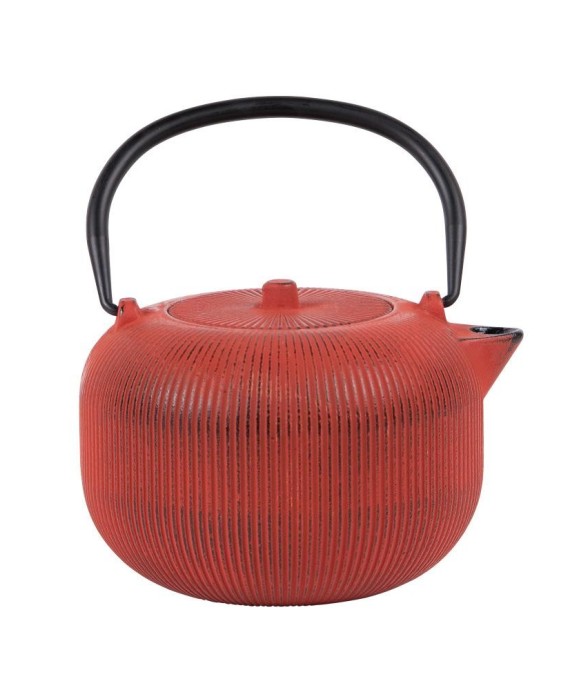 Théière en fonte Gyokuro...