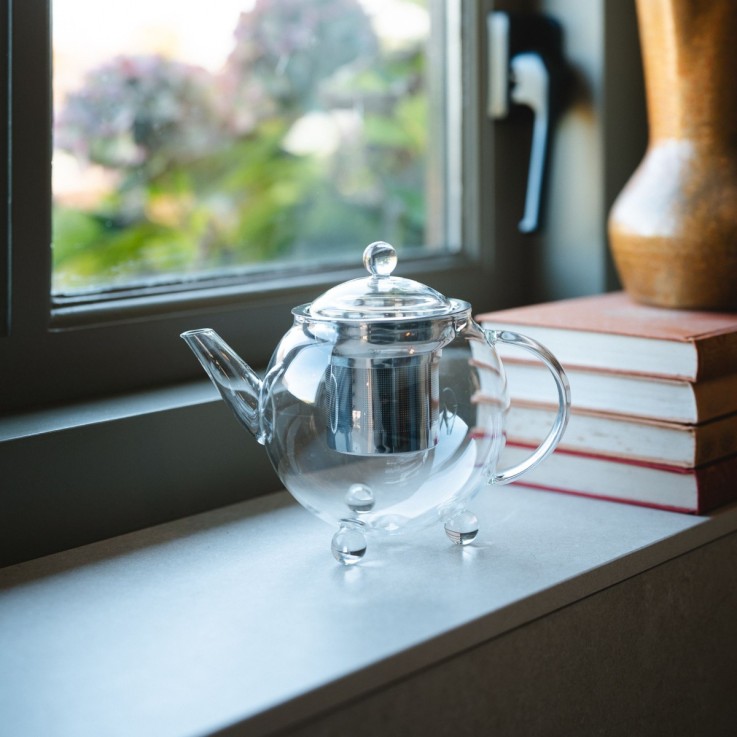 Théière en verre borosilicate 0.5 L avec filtre inox