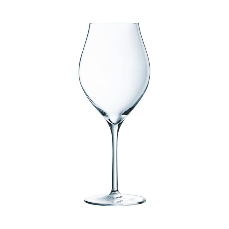 6 verres à pied 55 cl Exaltation