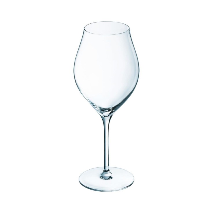 6 verres à pied 55 cl Exaltation